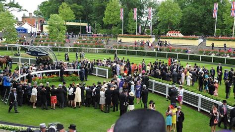 britania stakes stats|Britannia Stakes Preview, Tips, Runners & Trends (Royal Ascot).
